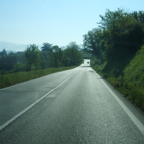 percorso096.jpg