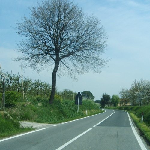 percorso234.jpg