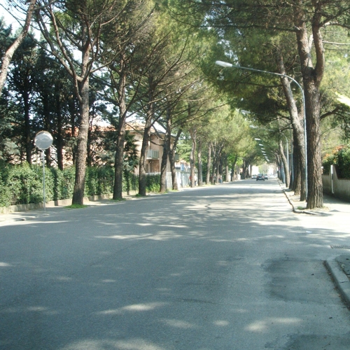 percorso246.jpg