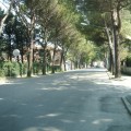Caricamento in corso...